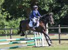 Image 19 in BECCLES AND BUNGAY RIDING CLUB. AREA 14 SHOW JUMPING ETC. 1ST JULY 2018