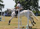 Image 193 in BECCLES AND BUNGAY RIDING CLUB. AREA 14 SHOW JUMPING ETC. 1ST JULY 2018