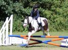 Image 20 in BECCLES AND BUNGAY RIDING CLUB. AREA 14 SHOW JUMPING ETC. 1ST JULY 2018