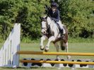 Image 21 in BECCLES AND BUNGAY RIDING CLUB. AREA 14 SHOW JUMPING ETC. 1ST JULY 2018