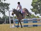 Image 219 in BECCLES AND BUNGAY RIDING CLUB. AREA 14 SHOW JUMPING ETC. 1ST JULY 2018