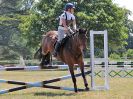 Image 227 in BECCLES AND BUNGAY RIDING CLUB. AREA 14 SHOW JUMPING ETC. 1ST JULY 2018