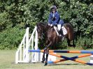 Image 23 in BECCLES AND BUNGAY RIDING CLUB. AREA 14 SHOW JUMPING ETC. 1ST JULY 2018