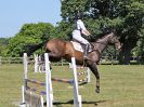 Image 230 in BECCLES AND BUNGAY RIDING CLUB. AREA 14 SHOW JUMPING ETC. 1ST JULY 2018