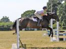 Image 237 in BECCLES AND BUNGAY RIDING CLUB. AREA 14 SHOW JUMPING ETC. 1ST JULY 2018