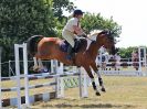 Image 238 in BECCLES AND BUNGAY RIDING CLUB. AREA 14 SHOW JUMPING ETC. 1ST JULY 2018