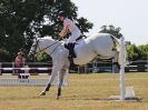 Image 240 in BECCLES AND BUNGAY RIDING CLUB. AREA 14 SHOW JUMPING ETC. 1ST JULY 2018