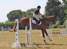 Image 245 in BECCLES AND BUNGAY RIDING CLUB. AREA 14 SHOW JUMPING ETC. 1ST JULY 2018