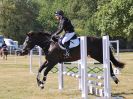 Image 26 in BECCLES AND BUNGAY RIDING CLUB. AREA 14 SHOW JUMPING ETC. 1ST JULY 2018
