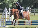 Image 3 in BECCLES AND BUNGAY RIDING CLUB. AREA 14 SHOW JUMPING ETC. 1ST JULY 2018