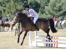 Image 32 in BECCLES AND BUNGAY RIDING CLUB. AREA 14 SHOW JUMPING ETC. 1ST JULY 2018