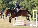 Image 35 in BECCLES AND BUNGAY RIDING CLUB. AREA 14 SHOW JUMPING ETC. 1ST JULY 2018