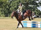 Image 37 in BECCLES AND BUNGAY RIDING CLUB. AREA 14 SHOW JUMPING ETC. 1ST JULY 2018