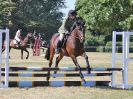 Image 38 in BECCLES AND BUNGAY RIDING CLUB. AREA 14 SHOW JUMPING ETC. 1ST JULY 2018