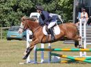 Image 39 in BECCLES AND BUNGAY RIDING CLUB. AREA 14 SHOW JUMPING ETC. 1ST JULY 2018