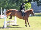 Image 4 in BECCLES AND BUNGAY RIDING CLUB. AREA 14 SHOW JUMPING ETC. 1ST JULY 2018