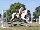 Image 54 in BECCLES AND BUNGAY RIDING CLUB. AREA 14 SHOW JUMPING ETC. 1ST JULY 2018