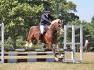Image 57 in BECCLES AND BUNGAY RIDING CLUB. AREA 14 SHOW JUMPING ETC. 1ST JULY 2018