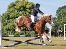 Image 58 in BECCLES AND BUNGAY RIDING CLUB. AREA 14 SHOW JUMPING ETC. 1ST JULY 2018