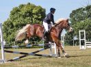 Image 69 in BECCLES AND BUNGAY RIDING CLUB. AREA 14 SHOW JUMPING ETC. 1ST JULY 2018