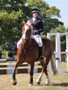 Image 71 in BECCLES AND BUNGAY RIDING CLUB. AREA 14 SHOW JUMPING ETC. 1ST JULY 2018