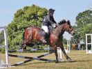 Image 75 in BECCLES AND BUNGAY RIDING CLUB. AREA 14 SHOW JUMPING ETC. 1ST JULY 2018