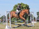 Image 77 in BECCLES AND BUNGAY RIDING CLUB. AREA 14 SHOW JUMPING ETC. 1ST JULY 2018