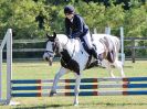 Image 8 in BECCLES AND BUNGAY RIDING CLUB. AREA 14 SHOW JUMPING ETC. 1ST JULY 2018