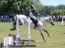 Image 80 in BECCLES AND BUNGAY RIDING CLUB. AREA 14 SHOW JUMPING ETC. 1ST JULY 2018