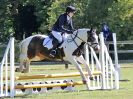 Image 9 in BECCLES AND BUNGAY RIDING CLUB. AREA 14 SHOW JUMPING ETC. 1ST JULY 2018