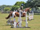 Image 99 in BECCLES AND BUNGAY RIDING CLUB. AREA 14 SHOW JUMPING ETC. 1ST JULY 2018