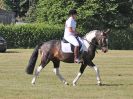 Image 11 in BECCLES AND BUNGAY RIDING CLUB. FUN DAY. 8 JULY 2018