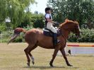 Image 153 in BECCLES AND BUNGAY RIDING CLUB. FUN DAY. 8 JULY 2018