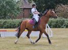Image 169 in BECCLES AND BUNGAY RIDING CLUB. FUN DAY. 8 JULY 2018