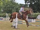 Image 212 in BECCLES AND BUNGAY RIDING CLUB. FUN DAY. 8 JULY 2018