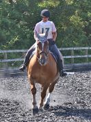 Image 61 in BECCLES AND BUNGAY RIDING CLUB. FUN DAY. 8 JULY 2018