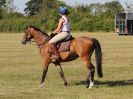 Image 7 in BECCLES AND BUNGAY RIDING CLUB. FUN DAY. 8 JULY 2018