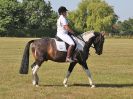 Image 8 in BECCLES AND BUNGAY RIDING CLUB. FUN DAY. 8 JULY 2018