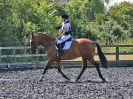 Image 81 in BECCLES AND BUNGAY RIDING CLUB. FUN DAY. 8 JULY 2018