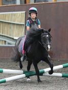 Image 110 in WORLD HORSE WELFARE. CLEAR ROUND SHOW JUMPING 14 JULY2018