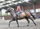 Image 174 in WORLD HORSE WELFARE. CLEAR ROUND SHOW JUMPING 14 JULY2018