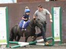 Image 70 in WORLD HORSE WELFARE. CLEAR ROUND SHOW JUMPING 14 JULY2018