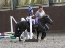 Image 72 in WORLD HORSE WELFARE. CLEAR ROUND SHOW JUMPING 14 JULY2018