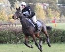 Image 14 in TEAM CHASING IN SUFFOLK. NOV. 2013.