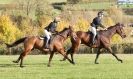 Image 15 in TEAM CHASING IN SUFFOLK. NOV. 2013.