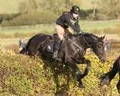 Image 17 in TEAM CHASING IN SUFFOLK. NOV. 2013.