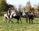 Image 29 in TEAM CHASING IN SUFFOLK. NOV. 2013.