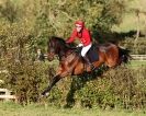 Image 3 in TEAM CHASING IN SUFFOLK. NOV. 2013.