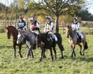 Image 30 in TEAM CHASING IN SUFFOLK. NOV. 2013.