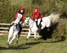 Image 4 in TEAM CHASING IN SUFFOLK. NOV. 2013.